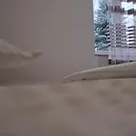Maximus Apartment