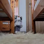 Maximus *
