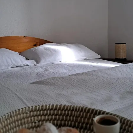Maximus Apartment