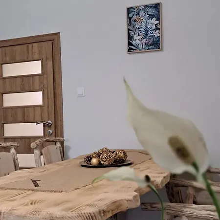 Apartament Maximus *