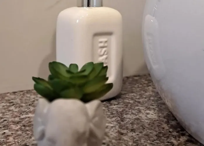 Maximus Kupres (Canton 10)